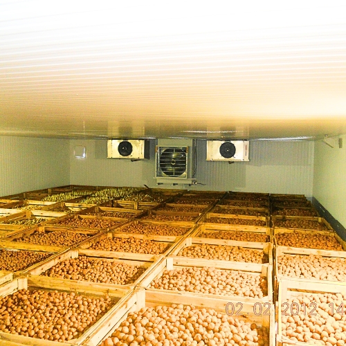Agronegócio